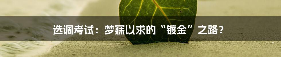 选调考试:梦寐以求的“镀金”之路?