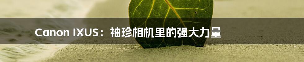 Canon IXUS:袖珍相机里的强大力量
