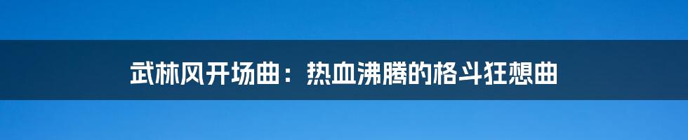 武林风开场曲:热血沸腾的格斗狂想曲