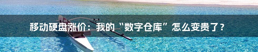 移动硬盘涨价：我的“数字仓库”怎么变贵了？