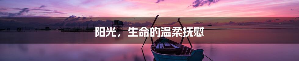 阳光,生命的温柔抚慰