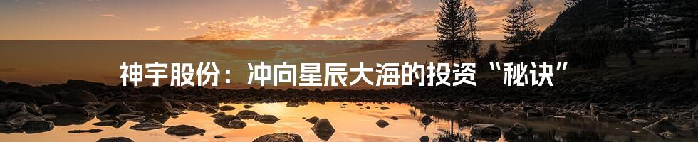 神宇股份:冲向星辰大海的投资“秘诀”