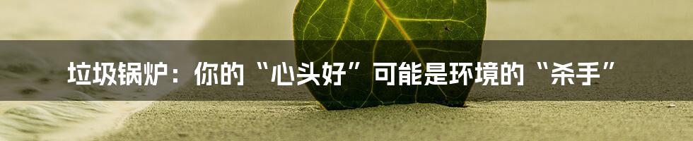 垃圾锅炉:你的“心头好”可能是环境的“杀手”