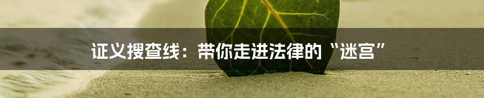 证义搜查线:带你走进法律的“迷宫”