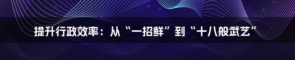 提升行政效率:从“一招鲜”到“十八般武艺”