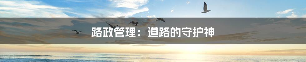 路政管理:道路的守护神