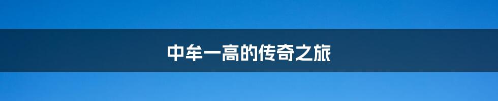中牟一高的传奇之旅