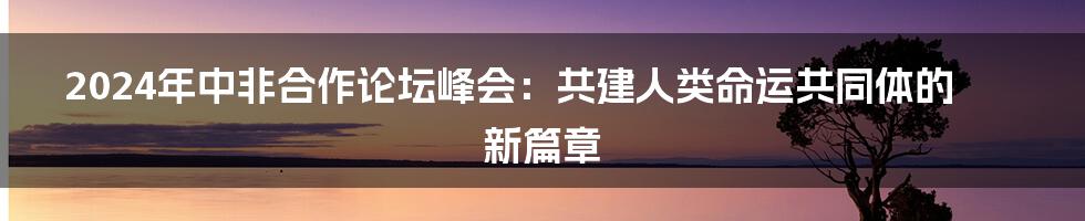 2024年中非合作论坛峰会:共建人类命运共同体的新篇章