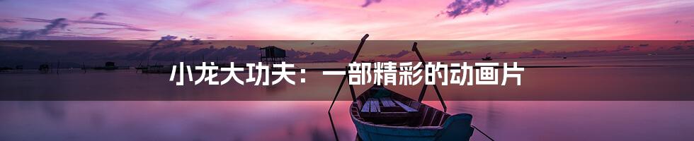 小龙大功夫:一部精彩的动画片