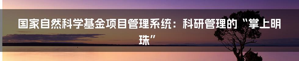 国家自然科学基金项目管理系统:科研管理的“掌上明珠”