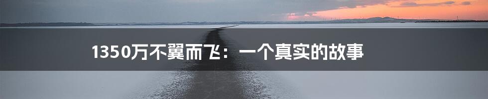 1350万不翼而飞:一个真实的故事