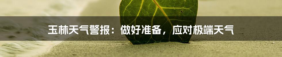 玉林天气警报：做好准备，应对极端天气
