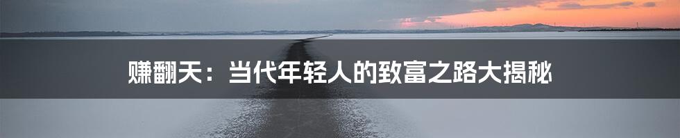 赚翻天：当代年轻人的致富之路大揭秘