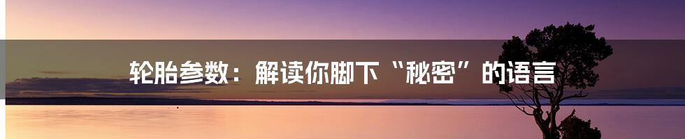 轮胎参数:解读你脚下“秘密”的语言