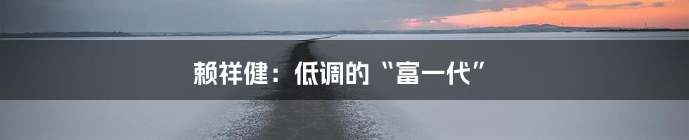 赖祥健:低调的“富一代”