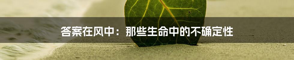 答案在风中：那些生命中的不确定性