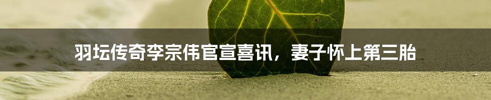 羽坛传奇李宗伟官宣喜讯,妻子怀上第三胎
