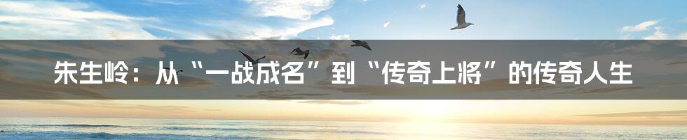 朱生岭:从“一战成名”到“传奇上将”的传奇人生