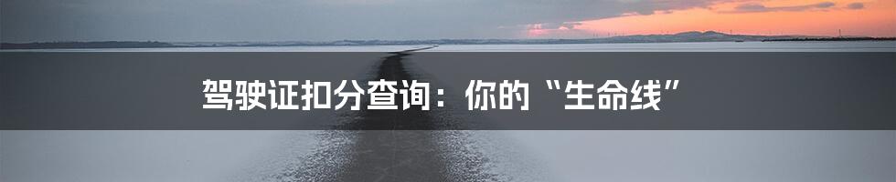 驾驶证扣分查询：你的“生命线”