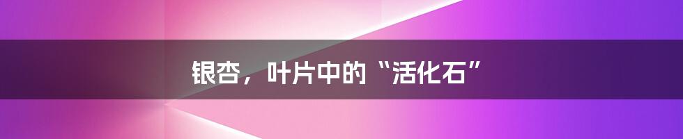 银杏,叶片中的“活化石”
