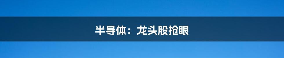 半导体:龙头股抢眼