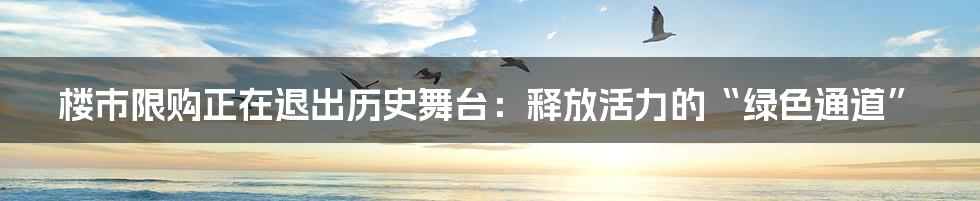 楼市限购正在退出历史舞台：释放活力的“绿色通道”