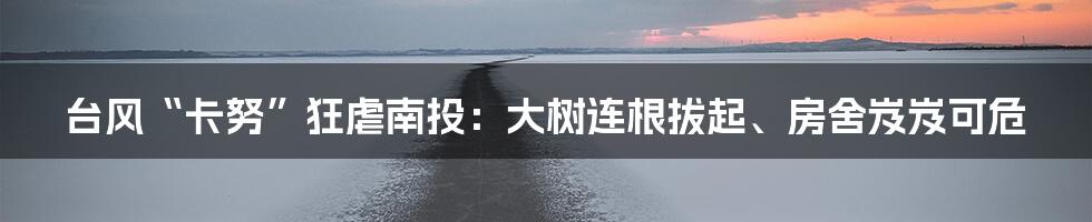 台风“卡努”狂虐南投:大树连根拔起、房舍岌岌可危