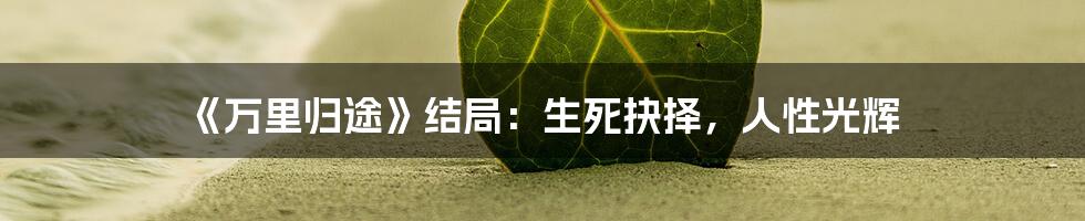《万里归途》结局：生死抉择，人性光辉