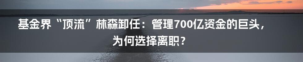 基金界“顶流”林森卸任:管理700亿资金的巨头,为何选择离职?