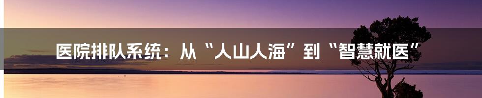 医院排队系统：从“人山人海”到“智慧就医”
