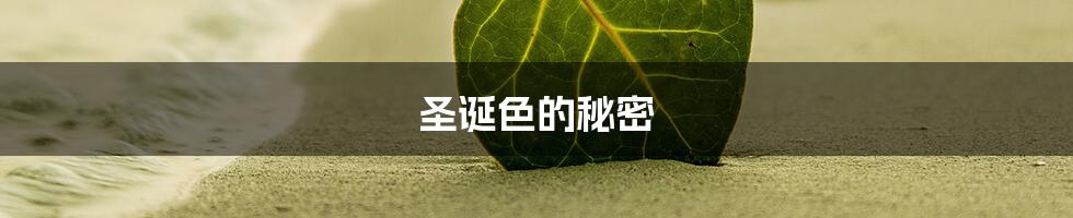 圣诞色的秘密