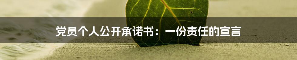 党员个人公开承诺书:一份责任的宣言
