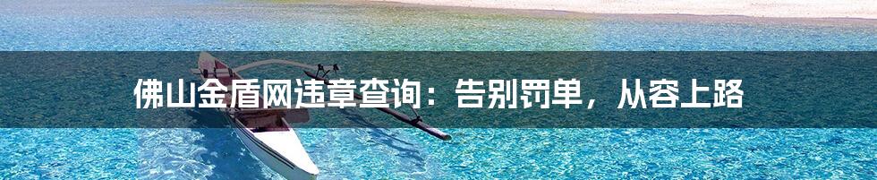 佛山金盾网违章查询：告别罚单，从容上路