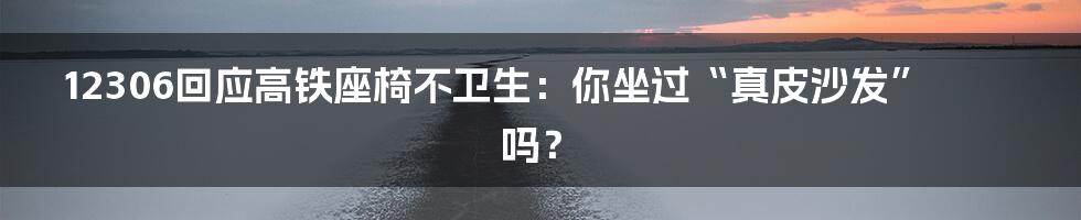 12306回应高铁座椅不卫生:你坐过“真皮沙发”吗?