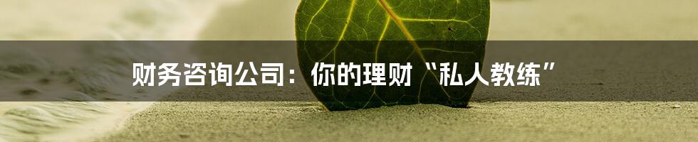 财务咨询公司：你的理财“私人教练”