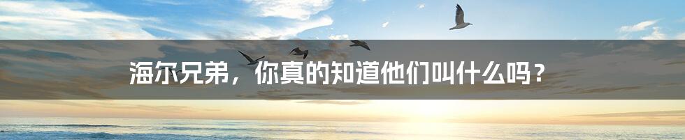 海尔兄弟,你真的知道他们叫什么吗?