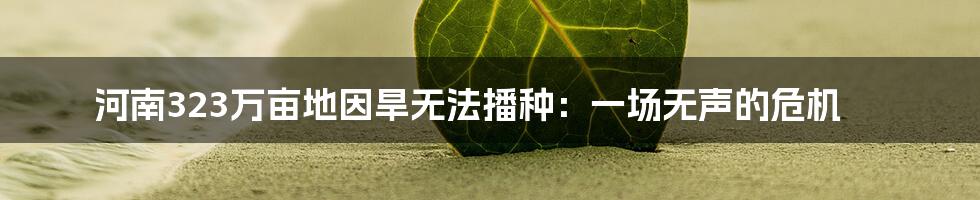 河南323万亩地因旱无法播种:一场无声的危机