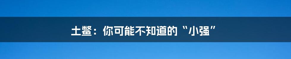 土鳖:你可能不知道的“小强”