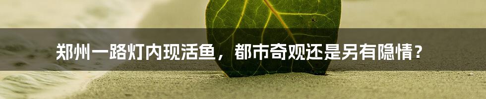 郑州一路灯内现活鱼,都市奇观还是另有隐情?