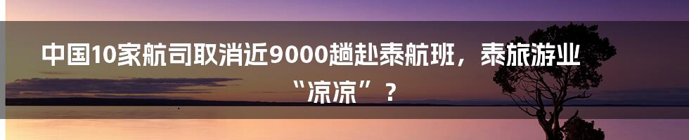 中国10家航司取消近9000趟赴泰航班,泰旅游业“凉凉”?