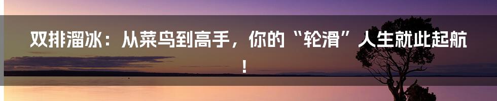 双排溜冰:从菜鸟到高手,你的“轮滑”人生就此起航!