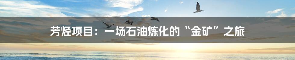 芳烃项目:一场石油炼化的“金矿”之旅
