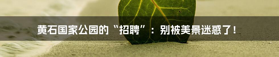 黄石国家公园的“招聘”:别被美景迷惑了!