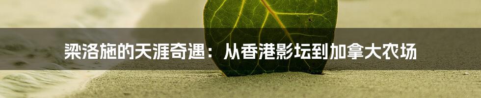 梁洛施的天涯奇遇:从香港影坛到加拿大农场