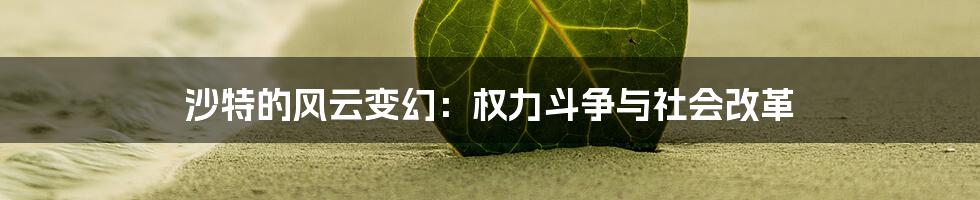 沙特的风云变幻:权力斗争与社会改革