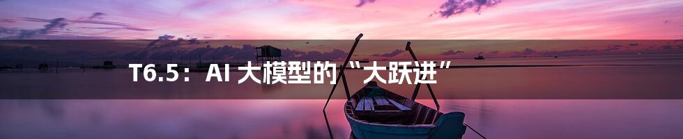 T6.5:AI 大模型的“大跃进”