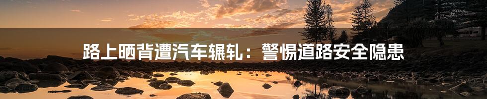 路上晒背遭汽车辗轧:警惕道路安全隐患