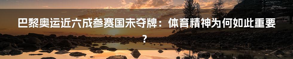 巴黎奥运近六成参赛国未夺牌：体育精神为何如此重要？