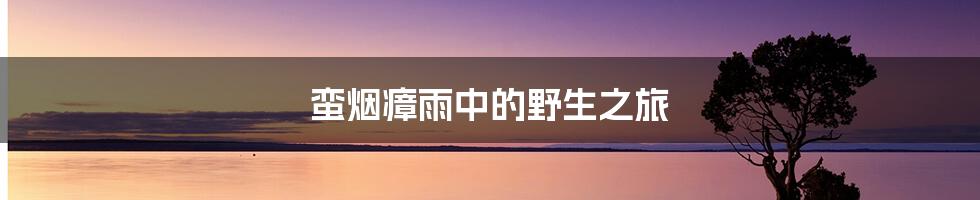 蛮烟瘴雨中的野生之旅