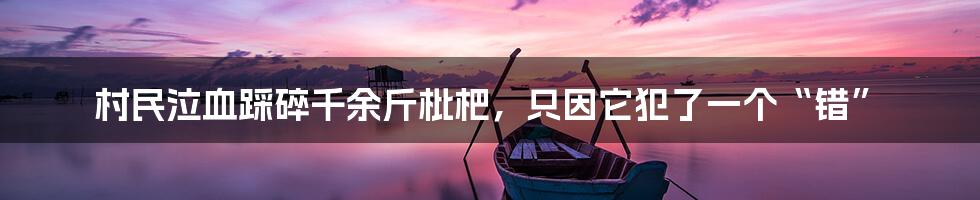 村民泣血踩碎千余斤枇杷,只因它犯了一个“错”